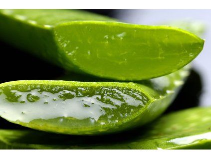 Vôňa do mydla Aloe vera